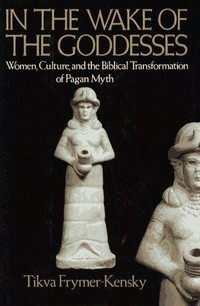 In the wake of the goddesses : women, culture and the Biblical transformation of pagan myth /