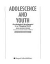 Adolescence and youth : psychological development in a changing world /