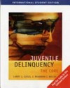 Juvenile delinquency : the core /