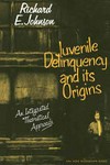 Juvenile delinquency and its origins : an integrated theoretical approach /