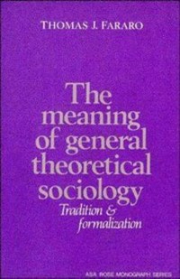 The meaning of general theoretical sociology : tradition and formalization /