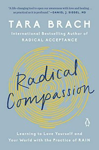 Radical compassion : learning to love yourself and your world with the practice of rain /