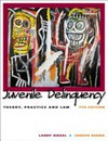 Juvenile delinquency : theory, practice and law /