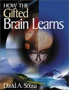 How the gifted brain learns /