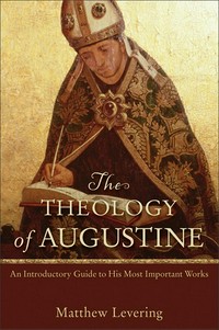 The theology of Augustine : an introductory guide to his most important works /