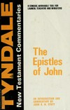 The epistles of John : an introduction and commentary /