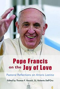 Pope Francis on the joy of love : theological and pastoral reflections on Amoris laetitia /