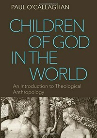 Children of God in the world : an introduction to theological anthropology /