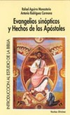 Evangelios sinópticos y Hechos de los Apóstoles /