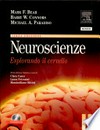 Neuroscienze : esplorando il cervello /