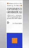 Esperimenti grammaticali : riflessioni e proposte sull'insegnamento della grammatica dell'italiano /