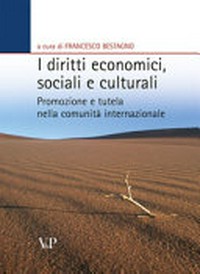 I diritti economici, sociali e culturali : promozione e tutela nella comunità internazionale /