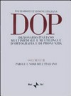 DOP - Dizionario italiano multimediale e multilingue d'ortografia e di pronunzia /