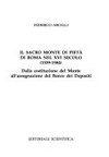 Il Sacro Monte di Pietà di Roma nel XVI secolo (1539-1584) : dalla costituzione del Monte all'assegnazione del Banco dei Depositi /