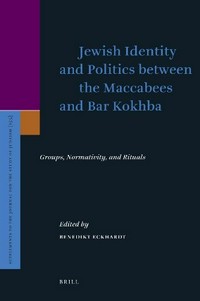 Jewish identity and politics between the Maccabees and Bar Kokhba : groups, normativity, and rituals /