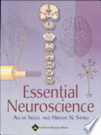 Essential neuroscience /