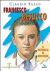 Francesco Besucco : il pastorello di don Bosco /