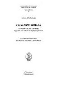Calvatone Romana : un pozzo e il suo contesto : saggio nella zona nord dell'area di proprietà provinciale /